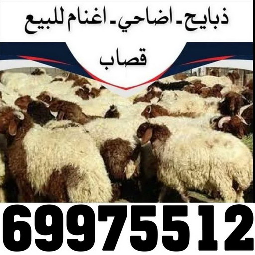 2 فني المنيوم - المنيوم الكويت - بالكويت 50737776 - المنيوم - شتر - فني شتر - تركيب شتر - تصليح شتر - فني المنيوم الجهراء - معلم المنيوم - تركيب مطابخ - تصليح مطابخ - فني مطابخ