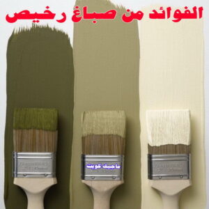 صباغ رخيص