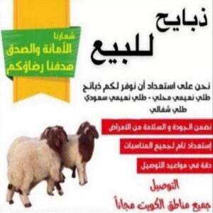 1676441160368 قصاب - قصاب متنقل - ابومحمد📞55634410 - ذبايح - ذبائح الكويت - غنم للبيع - اغنام للبيع - ذبايح للبيع - غنم - سوق غنم - اغنام عربى للبيع - جزار - ذبائح