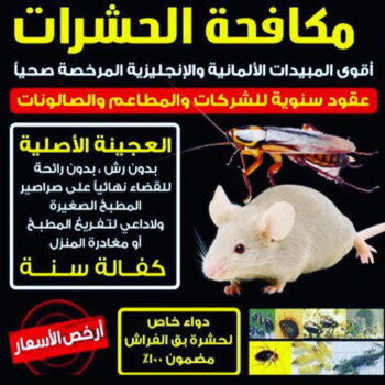 مكافحة قوارض - مكافحة حشرات وقوارض - تنظيف 99114313 - شركة حشرات - مكافحة حشرات - شركة مكافحة حشرات - مكافحة بق - مكافحة حشرات الكويت