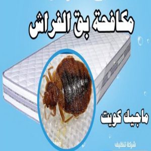 مكافحة حشرات - مكافحة حشرات وقوارض - تنظيف منازل📞99114313 - شركة حشرات - شركة مكافحة حشرات - مكافحة بق - مكافحة قوارض - مكافحة حشرات الكويت 13 مكافحة بق مكافحة حشرات - مكافحة حشرات وقوارض - تنظيف منازل📞99114313 - شركة حشرات - شركة مكافحة حشرات - مكافحة بق - مكافحة قوارض - مكافحة حشرات الكويت