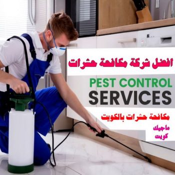 مكافحة حشرات - تنظيف منازل📞99114313 - شركة مكافحة حشرات - مكافحة حشرات وقوارض - مكافحة بق - رش صراصير - مكافحة نمل - شركة حشرات - مكافحة فئران